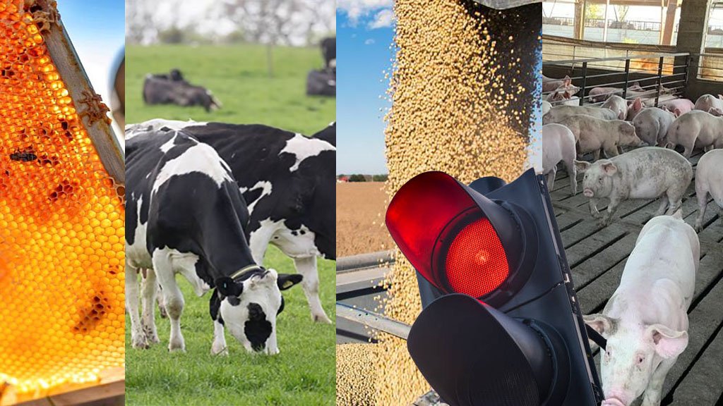 Infografía del Semáforo de Economías Regionales de CONINAGRO correspondiente a julio de 2026