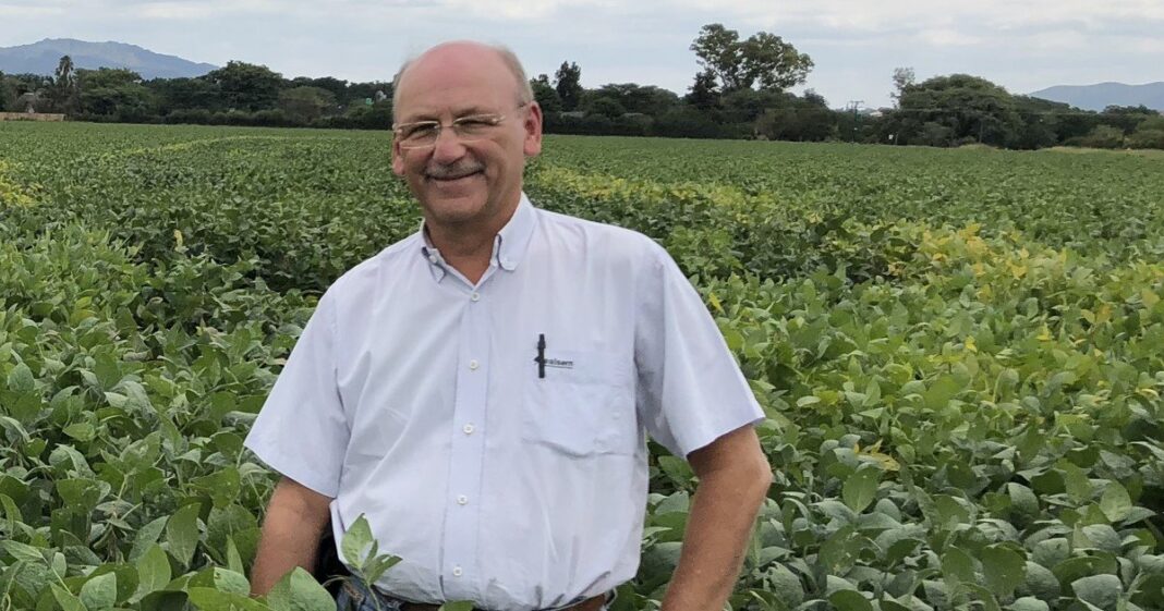 Cultivo de soja con hojas afectadas por enfermedades foliares