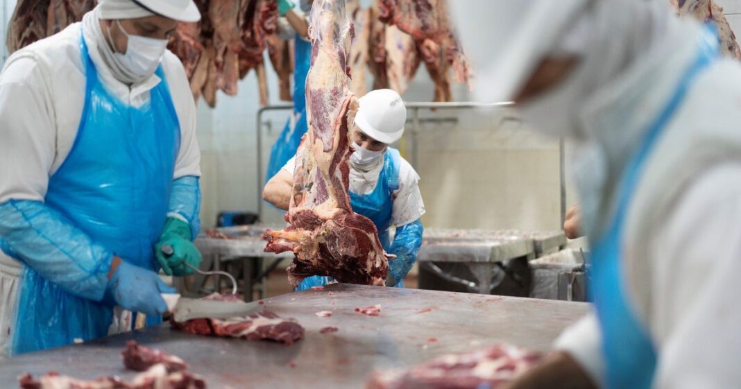 Cortes de carne vacuna en un mostrador