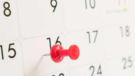 Calendario de feriados 2026 en Argentina con fechas y fines de semana largos