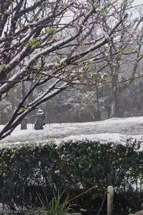 Nieve en las Altas Cumbres de Córdoba