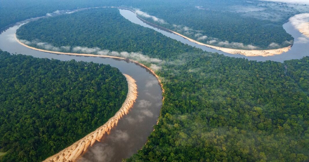 Vista de la reserva natural de Ney Matogrosso en Saquarema, Brasil