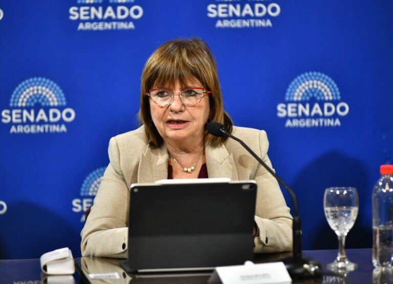 Patricia Bullrich en el Senado