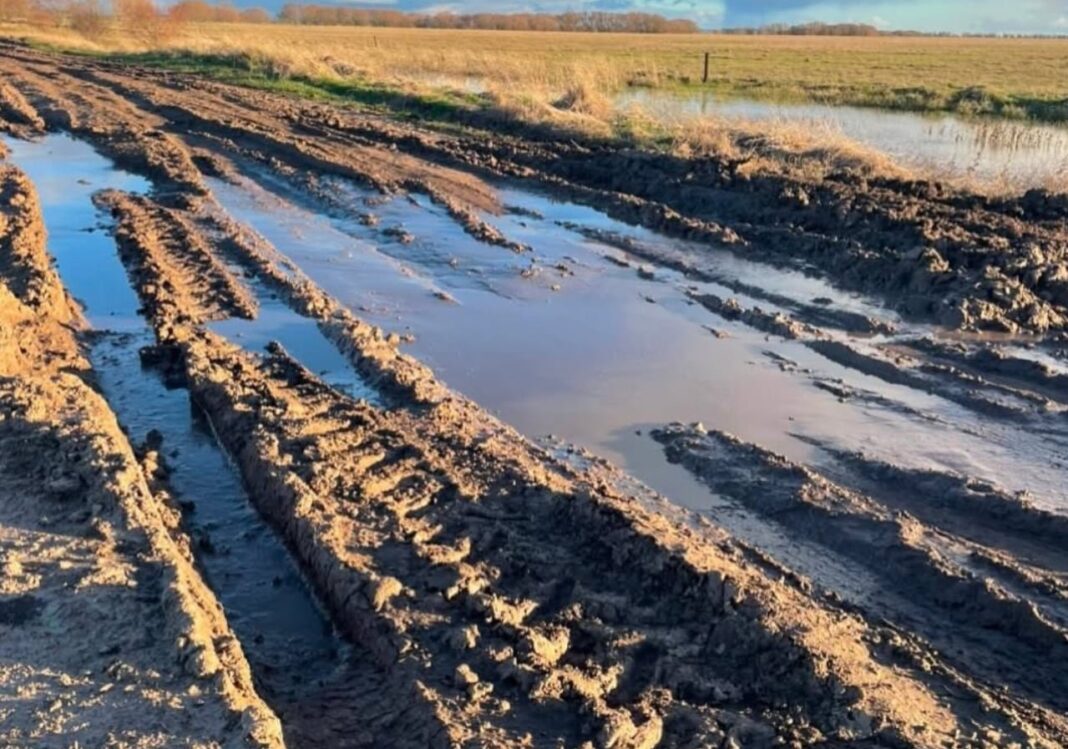 Camino rural de tierra en el partido de Azul, provincia de Buenos Aires