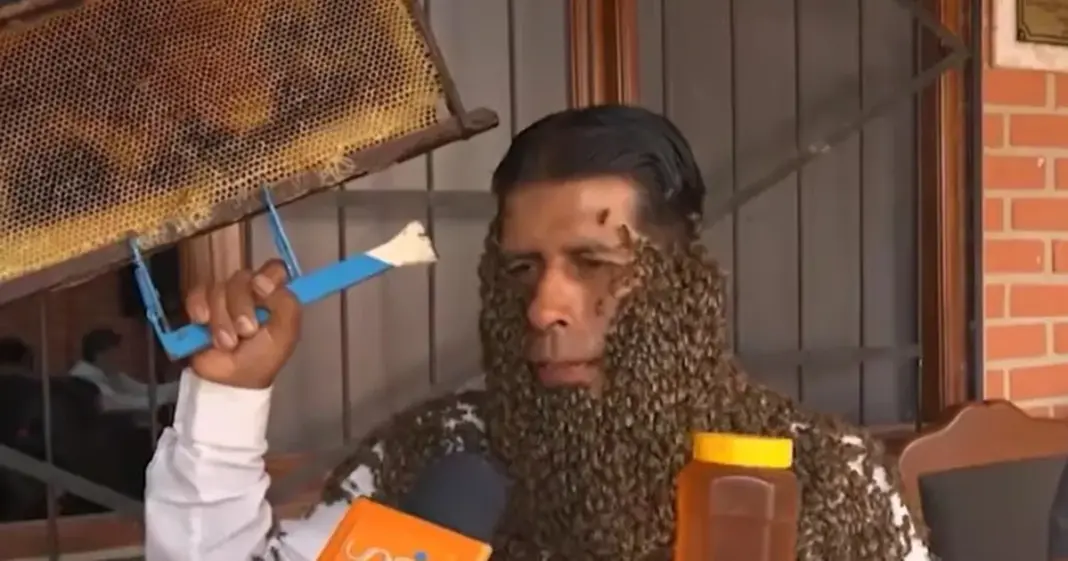 Apicultor con abejas cubriendo su rostro y cuello durante una entrevista televisiva