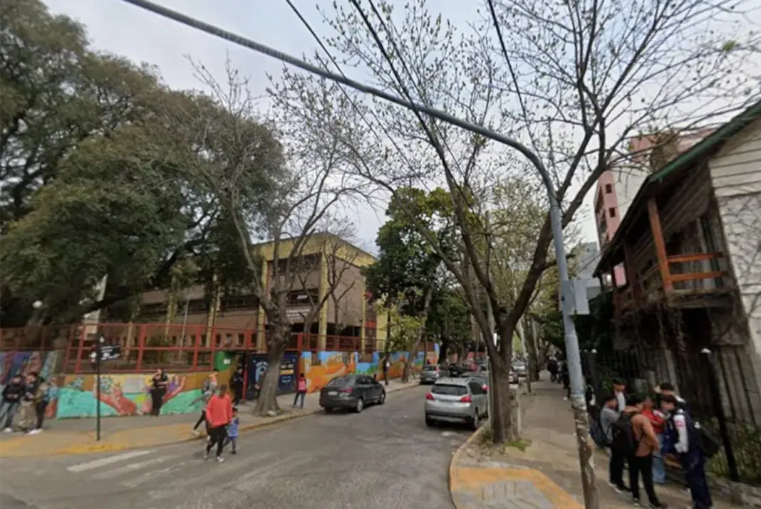 Imagen de archivo de un árbol de palta en la vía pública