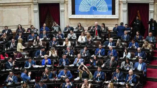 Sesión en la Cámara de Diputados donde se aprobó la ley de Discapacidad