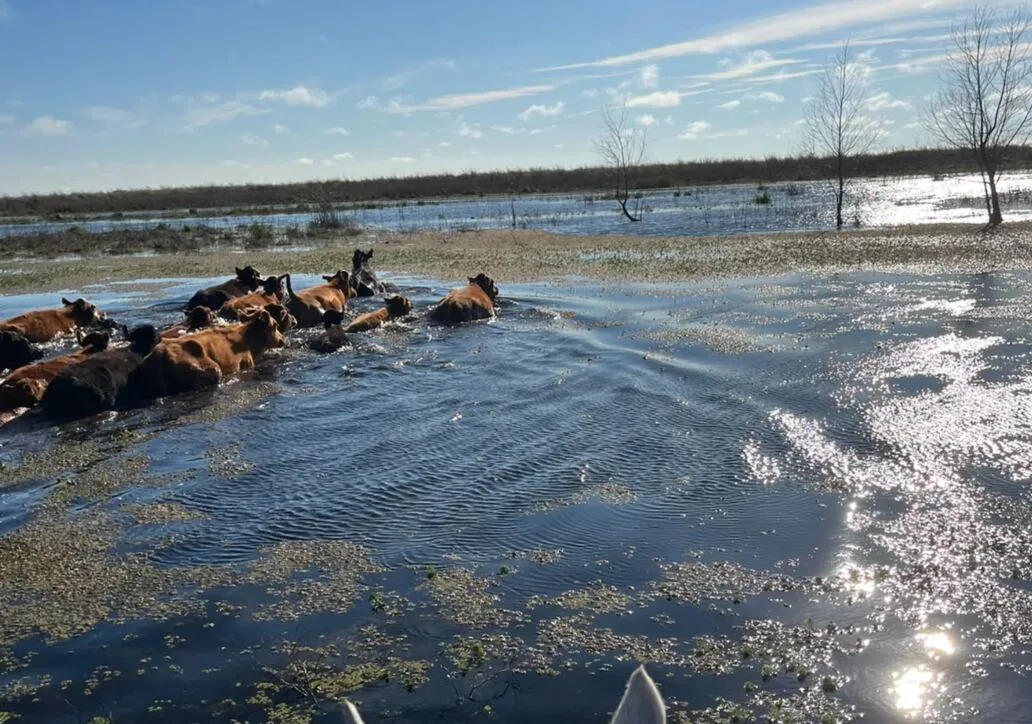 Campos inundados en el Litoral argentino por crecida de ríos