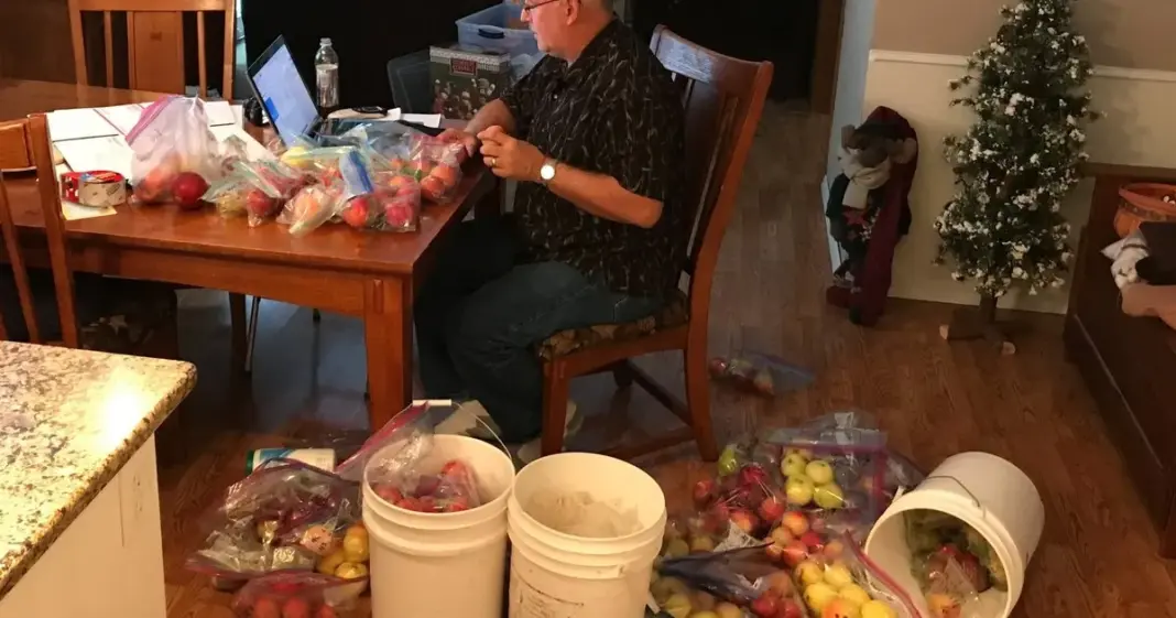 Dave Benscoter, exagente del FBI, examina manzanas en el marco de The Lost Apple Project