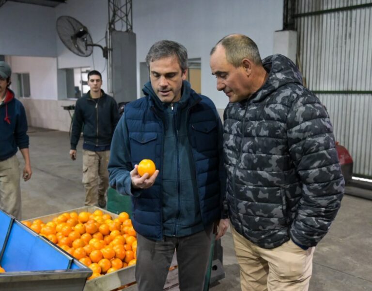 Reunión entre legisladores y funcionarios por la apertura del mercado estadounidense para cítricos dulces argentinos