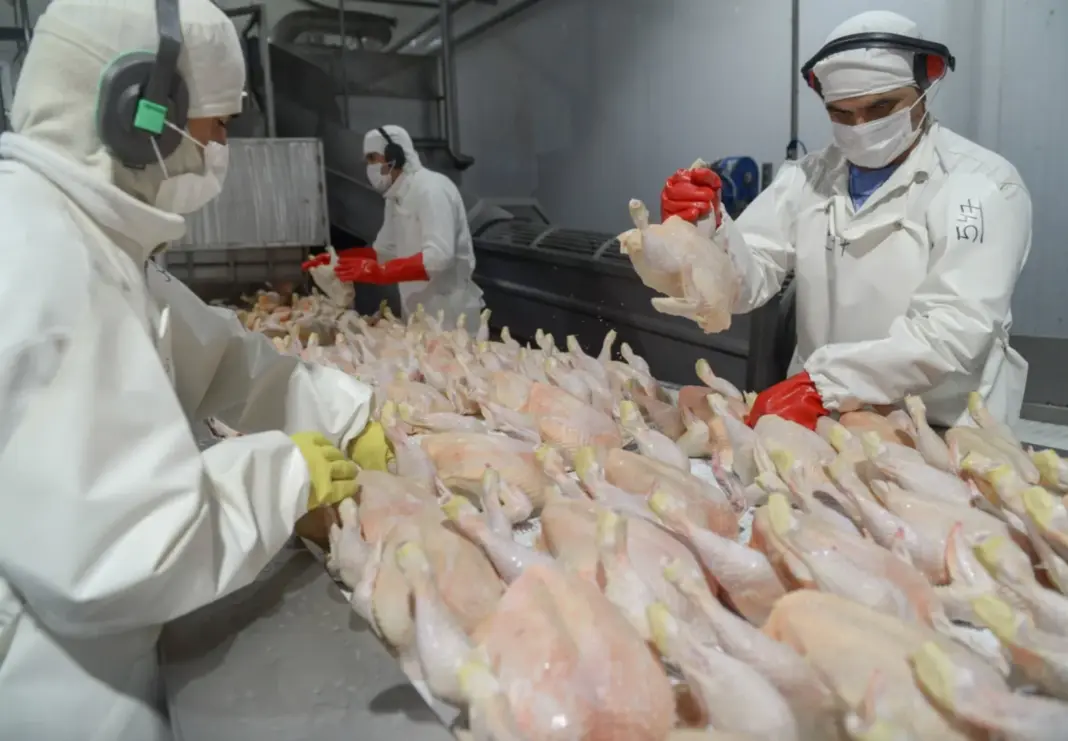 Instalaciones de una granja avícola con medidas de bioseguridad