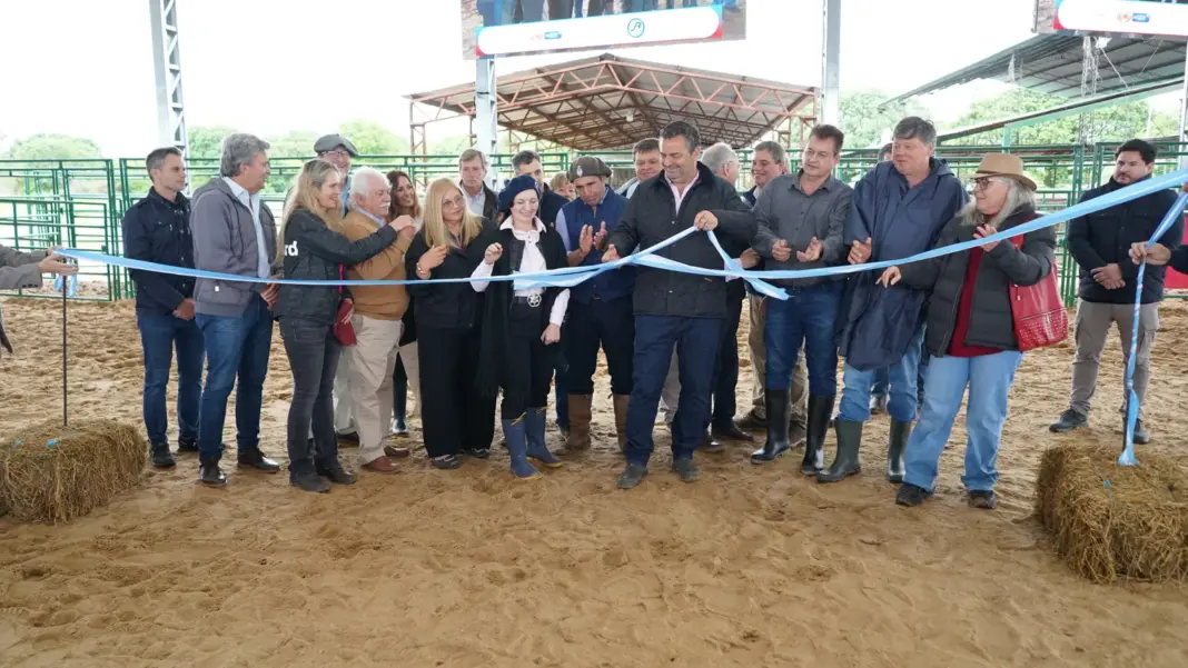 Exposición Nacional Primavera Braford en Margarita Belén, Chaco